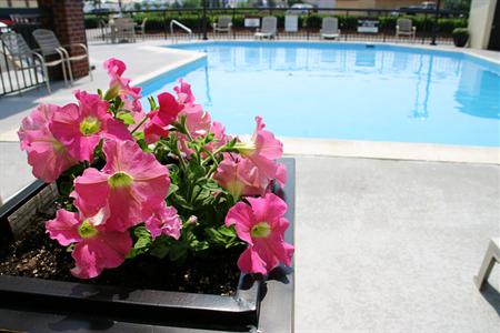 фото отеля Best Western Inn Virginia Beach