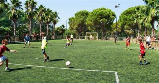 фото отеля Camping Resort La Baume La Palmeraie