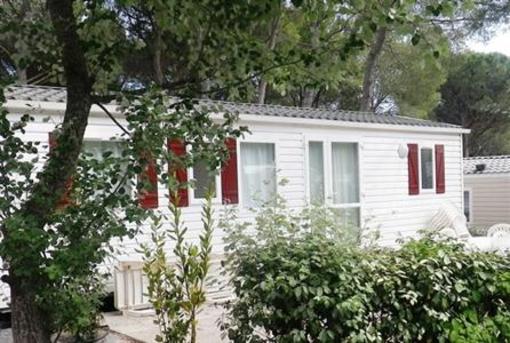 фото отеля Camping Resort La Baume La Palmeraie