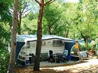 фото отеля Camping Resort La Baume La Palmeraie