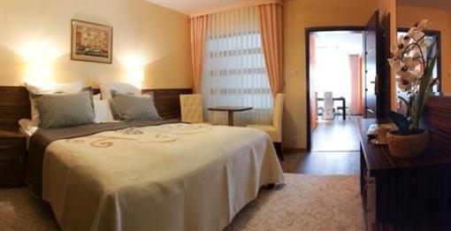 фото отеля Hotel Soray