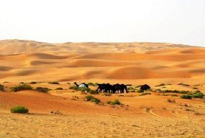 фото отеля Liwa Hotel Abu Dhabi