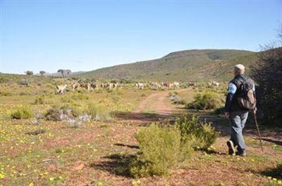 фото отеля African Game Lodge