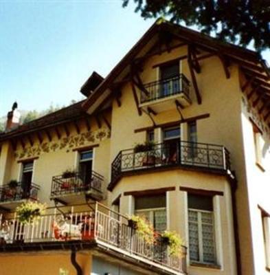 фото отеля Albergo Ristorante Pineta