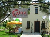 Nar Bagevi