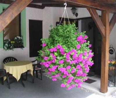 фото отеля Rodinny Hotel Lesni Zatisi