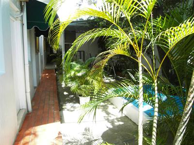 фото отеля Hostal Dominico Mundial