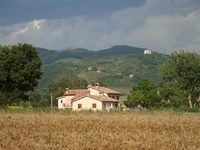 Fontecese