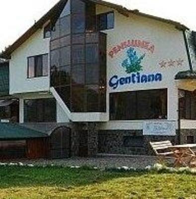 фото отеля Pension Gentiana Sacele