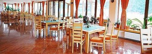 фото отеля Pension Gentiana Sacele