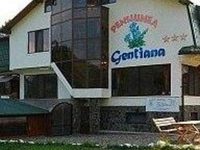 Pension Gentiana Sacele