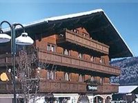 Tirolerhof Hotel Flachau