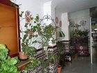 фото отеля Hostal La Malaguena