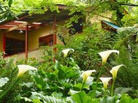 Como Cottage Accommodation