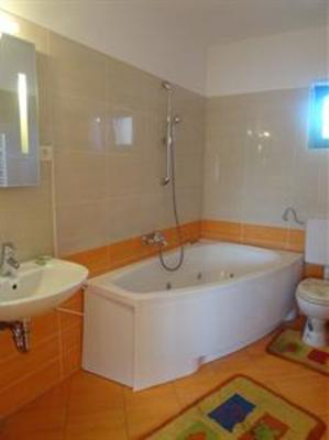 фото отеля Pension Bavaria Brasov