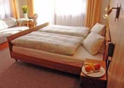 фото отеля Dom Hotel Saas-Grund