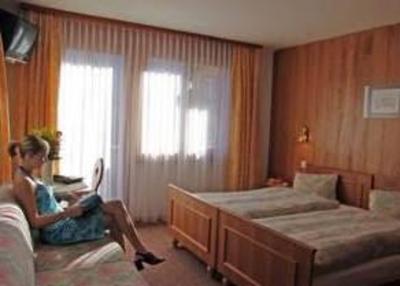 фото отеля Dom Hotel Saas-Grund