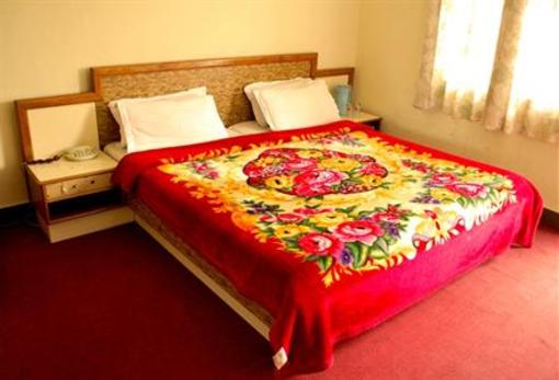фото отеля Hotel Vishnu Palace