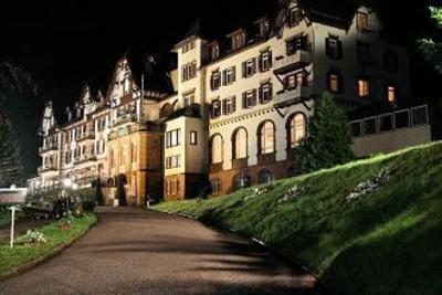 фото отеля Hotel Palmenwald