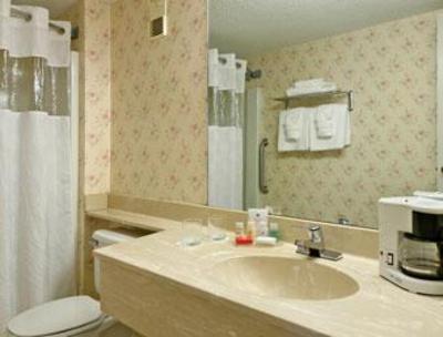 фото отеля Ramada Plaza Ojibway