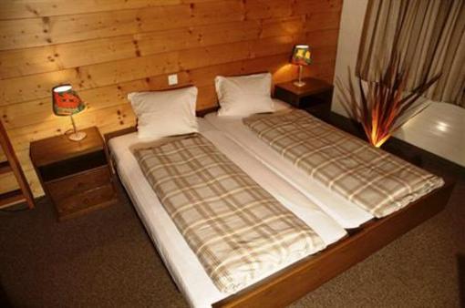 фото отеля Alpina Hotel Kandersteg