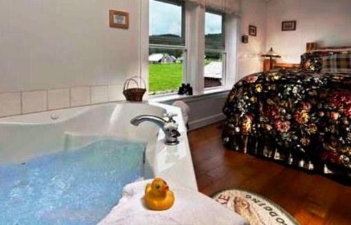 фото отеля Miller Tree Inn Bed & Breakfast