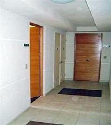 фото отеля Windsor Palace Apartment Santiago