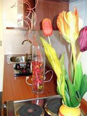 фото отеля Windsor Palace Apartment Santiago