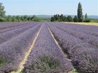 фото отеля Domaine Le Bois Des Dames