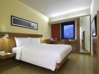 Ibis Delhi Airport