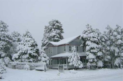 фото отеля Starlight Pines B&B