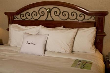фото отеля DoubleTree Suites by Hilton Hotel Nashville Airport
