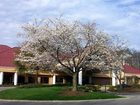 фото отеля DoubleTree Suites by Hilton Hotel Nashville Airport