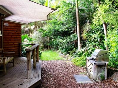 фото отеля Amazing Wollumbin Palms Retreat Mount Warning