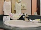 фото отеля BEST WESTERN Fargo Doublewood Inn