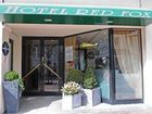фото отеля Hotel Red Fox