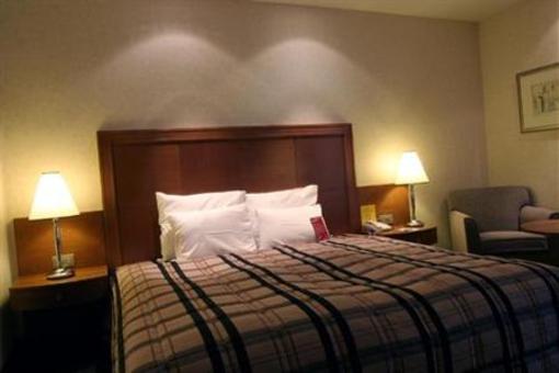 фото отеля Crowne Plaza Hotel Brussels Airport