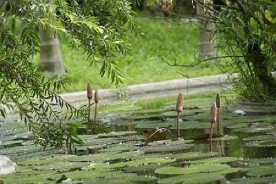 фото отеля Hoi An Trails Resort