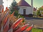 фото отеля Cabanas de Sao Jorge Village