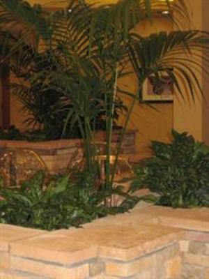 фото отеля Embassy Suites Hotel Winston-Salem