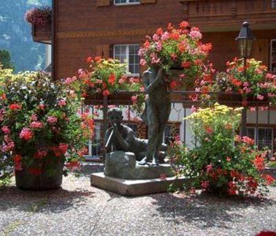 фото отеля Gletschergarten Hotel Grindelwald