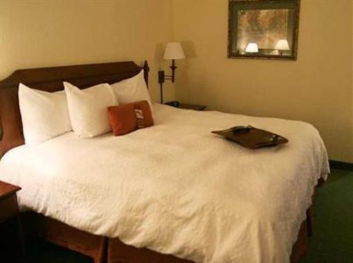 фото отеля Hampton Inn Atlanta/Stone Mountain
