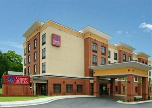 фото отеля Comfort Suites Lexington (South Carolina)