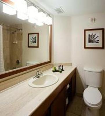 фото отеля Embassy Suites Hotel San Antonio International Airport