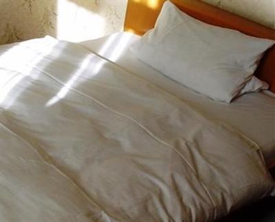 фото отеля Hotel Am Stadtpark Furth