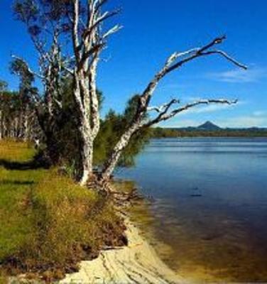 фото отеля Lake Weyba Cottages Noosa