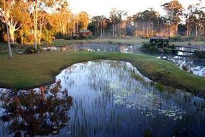 фото отеля Lake Weyba Cottages Noosa