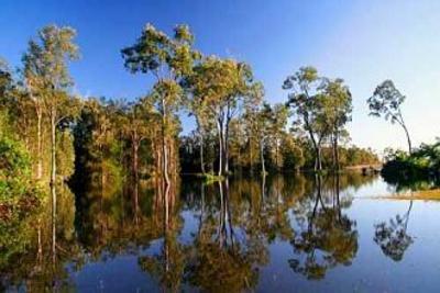 фото отеля Lake Weyba Cottages Noosa