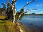 фото отеля Lake Weyba Cottages Noosa