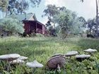 фото отеля Lake Weyba Cottages Noosa